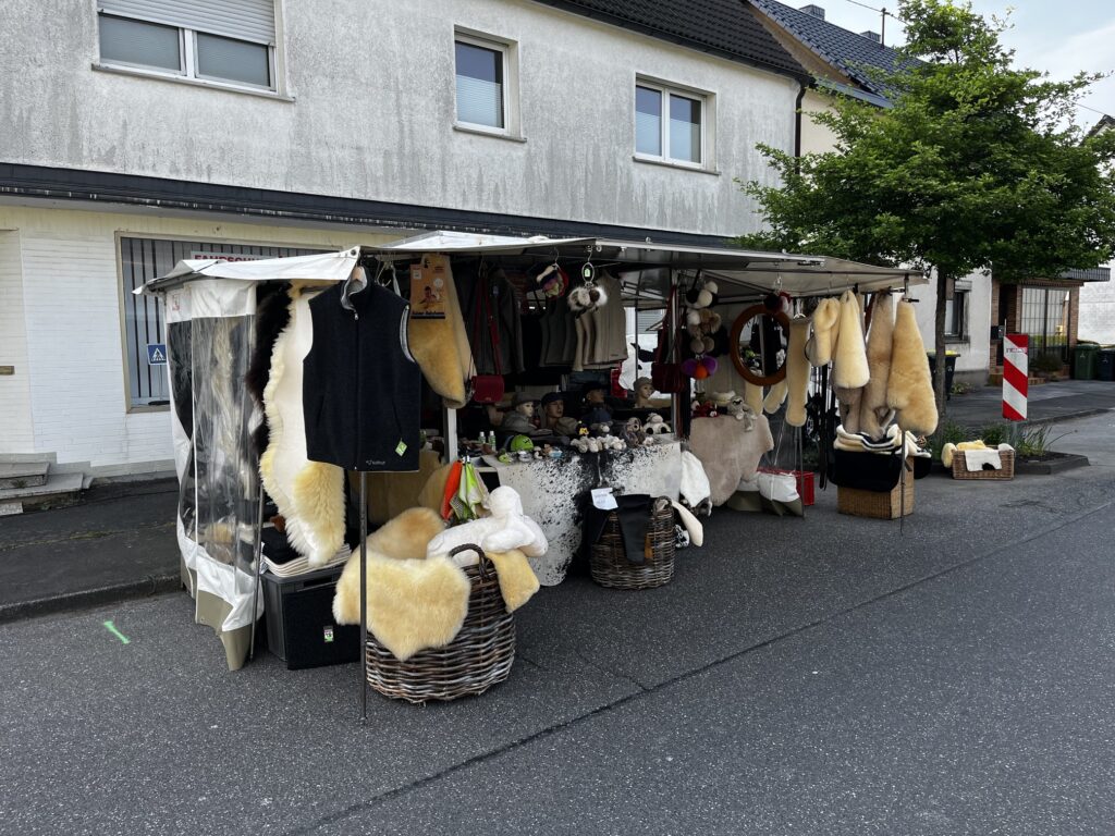 IMG 3919